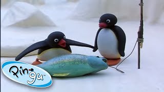 Pingu Goes Fishing With His Family 🐟 Pingu 1 Hour  Cartoons for Kids [upl. by Hayikat]