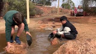 Finds gold at Kalgoorlie Western Australia gold funs kids holiday [upl. by Biamonte]