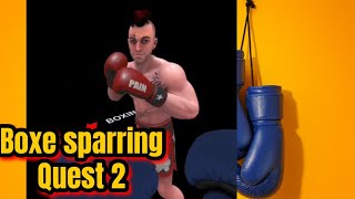 SPARRING DE BOXE 🥊  VR QUEST 2 GAMEPLAY [upl. by Adamina]