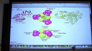 14 Biochemistry Enzyme Regulation I Lecture for Kevin Aherns BB 450550 [upl. by Kentigera]