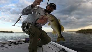 Bass fishing Fellsmere lake  October 2024 [upl. by Georgy]