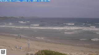 Steve Seabury Higgins Beach Properties Live Webcam [upl. by Frazer353]