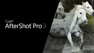 Introducing Aftershot Pro 3  the worlds fastest RAW photo editor [upl. by Fina894]