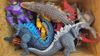 Hunting Found Godzilla Anguirus Rodan Space Godzilla King Kong Dragon [upl. by Lieberman]