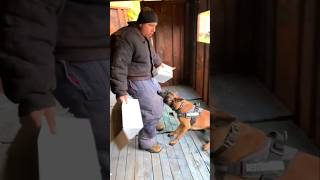 😲🤭Training of bodyguard dogs Malinois attack COMPANIONUKRAINE Odessa Ukraine [upl. by Ecaidnac]