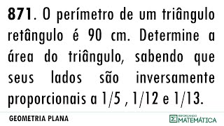 C19 ÁREAS DE SUPERFÍCIES PLANAS 871 [upl. by Edea]