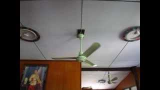 48quot HUSAN Ceiling fan Model 2003 CF48F green [upl. by Dnomhcir]