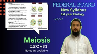 Meiosis  Stage of meiosis  Significance of meiosis  class 11 [upl. by Ear]