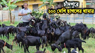 তরুন উদ্যোক্তার ২০০ দেশি ছাগলের খামার। ব্লাক বেঙ্গল ছাগল পালন পদ্ধতি।Black Bengal Got Farming Chandp [upl. by Lauretta734]