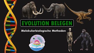 EVOLUTION BELEGEN  Molekularbiologische Methoden [upl. by Borszcz]