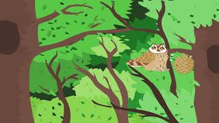 Coucou Hibou 🦉  Comptine pour Enfants  CHANSONS ZENFANTINES [upl. by Cralg]