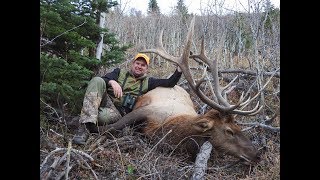 Elk Rifle Hunting in Wyoming Giant Last Day Bull Elk [upl. by Adnalro]