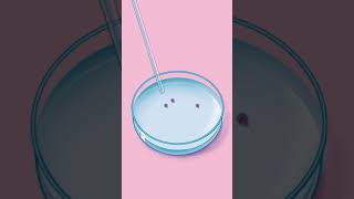 How Does IVF Work [upl. by Acirretahs]