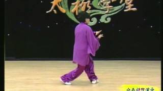 Sun Style 73 step Tai Chi [upl. by Notnarb]