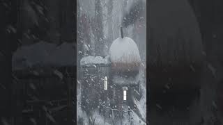 FREEZING SNOWSTORM SOUNDS for SLEEPING Blizzard Storm [upl. by Anayra]