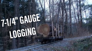 Logging on the 714quot gauge Mill Brook Railroad [upl. by Manda]