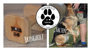 Bringholz quotHaltenquot lernen  JULIUS K9  Hundesport amp Co  Tutorial [upl. by Hetti]