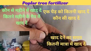 Poplar tree fertilizer name time quantity for 1 tree  Trending Nature [upl. by Vogeley]