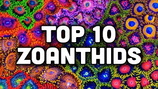 Top 10 Zoanthids from TSA [upl. by Lah]