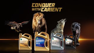 PSO  Conquer With Carient [upl. by Savell]