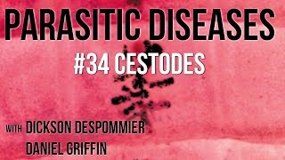 Parasitic Diseases Lectures 34 Cestodes [upl. by Phare]