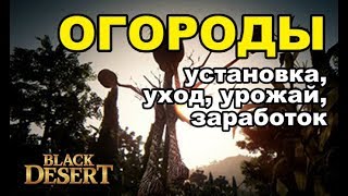 🌱 Гайд по огороду в БДО заработок виды семян выбор места Black Desert MMORPG  ИГРЫ [upl. by Diehl372]