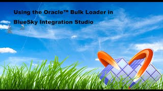 11 Using Oracle Bulk Loader in BIS ETL Tool [upl. by Atterys]