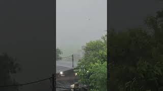 Rain Rain Beautiful Rain 🌧 music song love bollywood viral lovesong songviral [upl. by Letta]