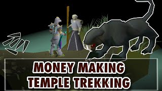 OSRS MONEY MAKING MEMBER  Temple Trekking 800k12M por hora osrs Español 2022 [upl. by Haleemak233]