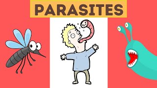 What is a parasite Definition and Examples [upl. by Irrej]