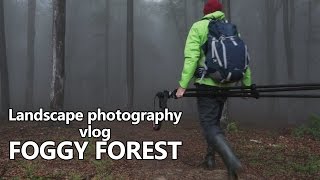 Landscape photography vlog  Tips lenses filters compositions for foggy forests [upl. by Nydnarb22]