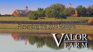 Valor Farm 2024 Stallions Preview [upl. by Tichon]