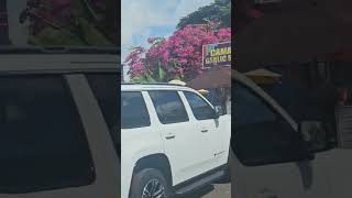 Shops at Haleiwa Hawaii hawaii haleiwa driving travel [upl. by Ecirtnuahs350]