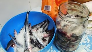 como hacer anchoas en salazon caseras [upl. by Goto136]