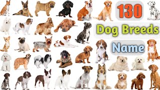 Dog Breeds Vocabulary ll 130 Dogs Breeds Names In English With Pictures ll 100 Popular Dogs [upl. by Domella]