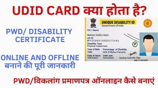 UDID Card Kya Hai UDID Card Explained Benefits amp Limitations  Complete Information on UDID Card [upl. by Reve]