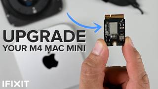 M4 Mac mini Teardown  UPGRADABLE Storage Powerful and TINY [upl. by Stenger]