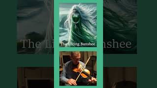 Lilting Banshee fiddle celtic [upl. by Kiki]