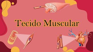 Tecido Muscular [upl. by Anerda]