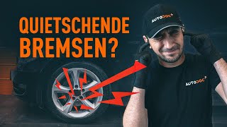 Warum quietschen Ihre Bremsen  Tipps von AUTODOC [upl. by Llevra]