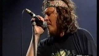 Zucchero  OLSMM Live 1995 [upl. by Introk]