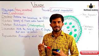 Introduction to biology Lec11 Volvox in UrduHindi by Sir Ahsan Baloch [upl. by Gildas]