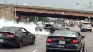 EPIC Burnout Shelby GT500 Super Snake  Diesel Truck Pulled Over  Sick Burnout Mustang Cobra [upl. by Esilana]