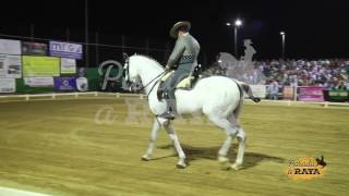 Rafael Arcos González con Lagartijo 75 Campeón de Andalucía 2017 [upl. by Sitelc]