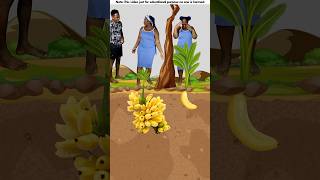 Bananas 🍌 items🤯 New Viral Gadgets Smart Appliances Kitchen UtensilsHome Inventions shorts [upl. by Leinaj]