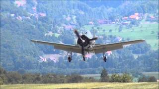 Dittinger Flugtage 2015 Teil 3 [upl. by Kennith]