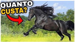 7 Cavalos mais Caros do Mundo [upl. by Sibeal]