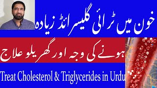 Causes and Treatment of High Triglycerides Level in Blood  Khoon me charbi ki waja ur elaj in Urdu [upl. by Aiksa]