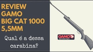 REVIEW  Gamo Big Cat 1000 55mm [upl. by Attiuqram]