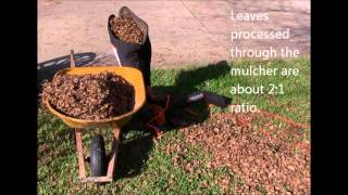 WORX WG508 Mulching Performance [upl. by Afira]